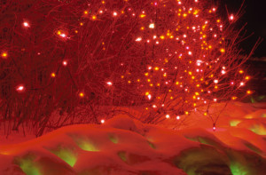 RedChristmas_87564454-300x197