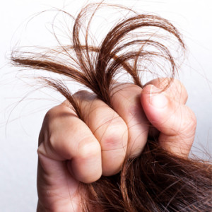 Richard Francis Salon & Spa, Ashland MA