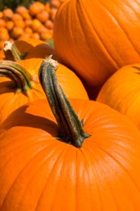 ThinkstockPhotos-122576811-199x300